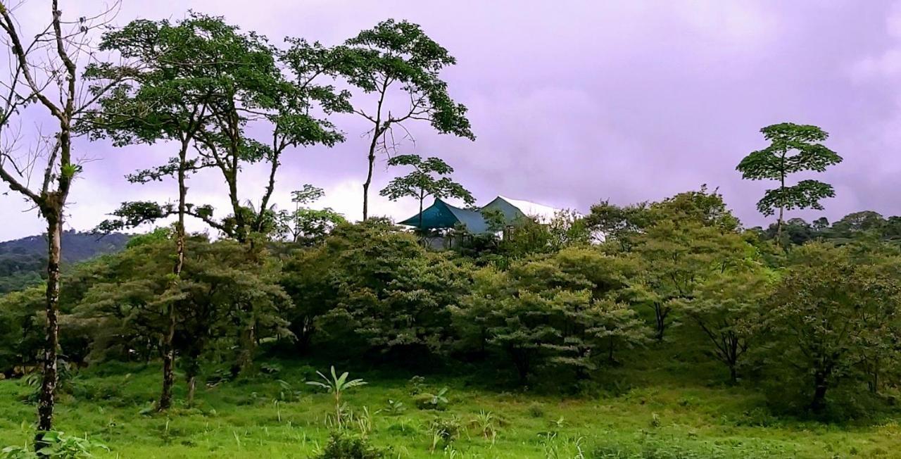Garza Del Sol Glamping Rio Celeste Buganvilia Εξωτερικό φωτογραφία