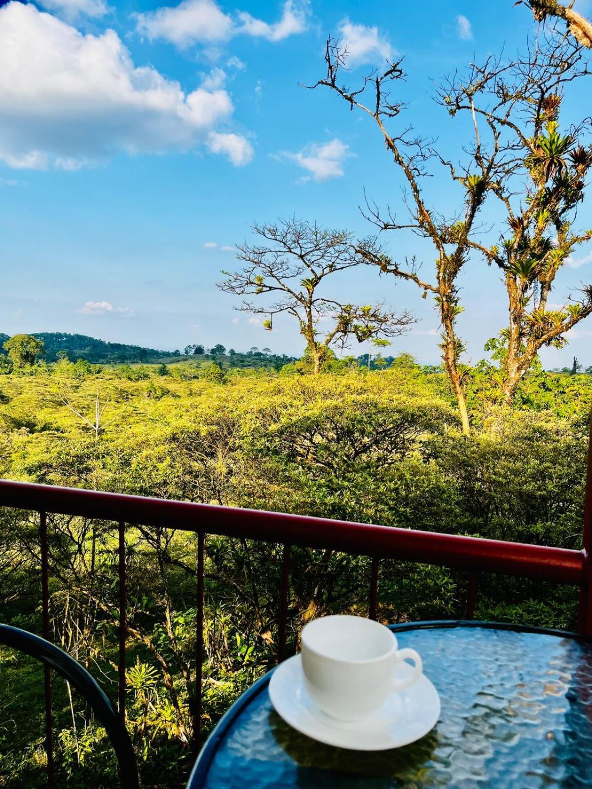 Garza Del Sol Glamping Rio Celeste Buganvilia Εξωτερικό φωτογραφία